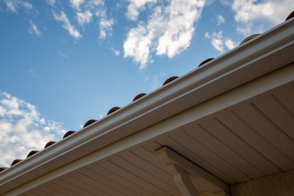 Cost of K Style Gutter Installation in Niceville