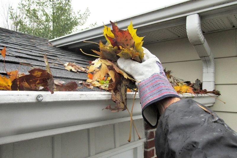 Removing Leaves from Gutter