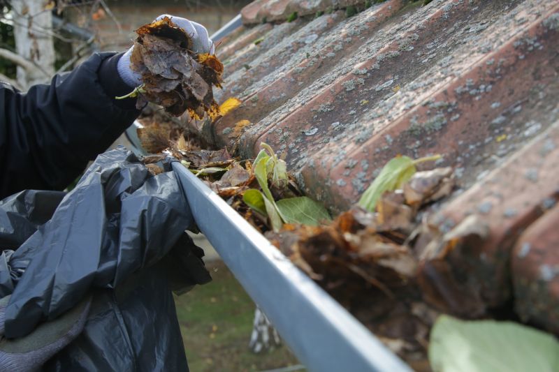 Residential Gutter Cleaning Service